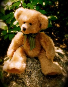 Teddy Bear